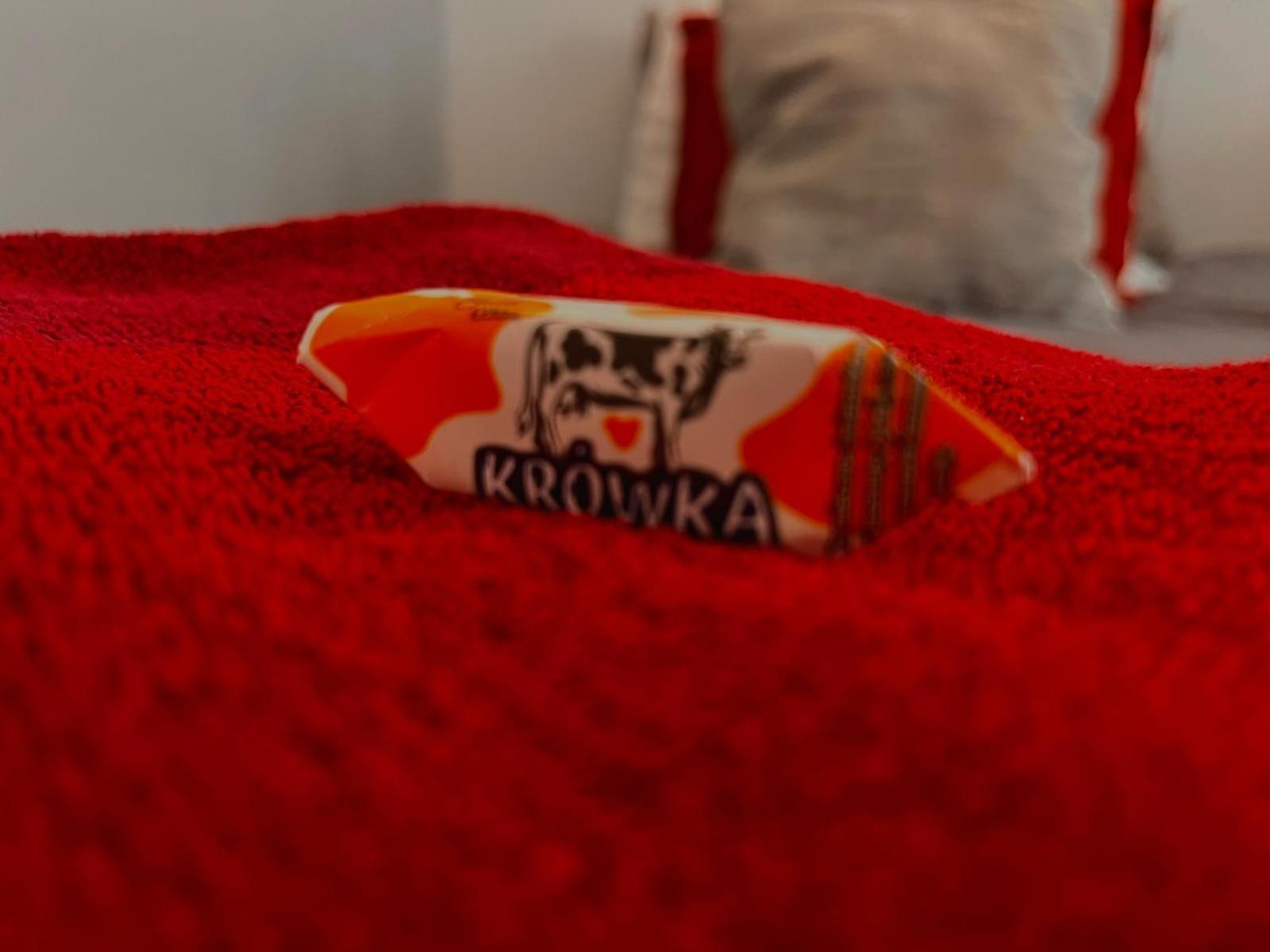 Best 1 Room Condo In Warszawa Center 외부 사진
